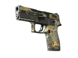 P250 | Modern Hunter