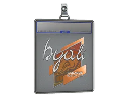 Sticker Slab | byali | Boston 2018