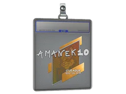 Sticker Slab | AmaNEk | Boston 2018