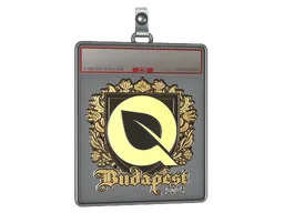Sticker Slab | FlyQuest (Gold) | Budapest 2025