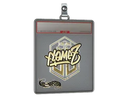 Sticker Slab | FlameZ (Gold) | Paris 2023