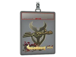 Sticker Slab | Ex3rcice (Gold) | Shanghai 2024