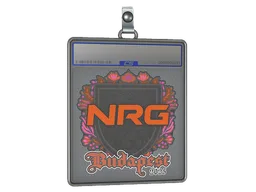 Sticker Slab | NRG | Budapest 2025