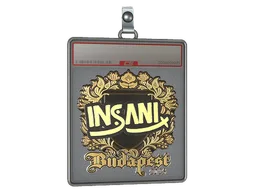Sticker Slab | insani (Gold) | Budapest 2025