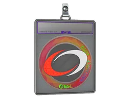 Sticker Slab | compLexity Gaming (Holo) | Katowice 2019
