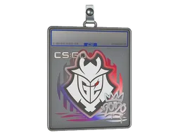 Sticker Slab | G2 | 2020 RMR