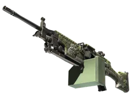M249 | Aztec