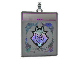 Sticker Slab | G2 Esports (Holo) | Austin 2025