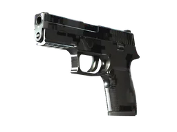 P250 | Metallic DDPAT