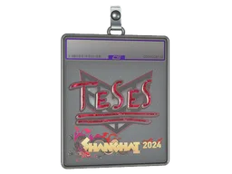 Sticker Slab | TeSeS (Glitter) | Shanghai 2024