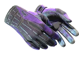 ★ Sport Gloves | Pandora's Box