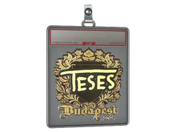 Sticker Slab | TeSeS (Gold) | Budapest 2025