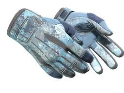 ★ Sport Gloves | Frosty