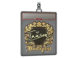 Sticker Slab | Tauson (Gold) | Budapest 2025