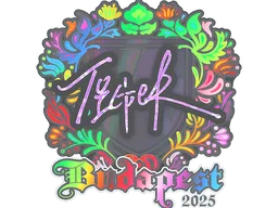 Sticker | Tiger (Holo) | Budapest 2025