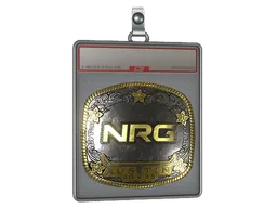 Sticker Slab | NRG (Gold) | Austin 2025