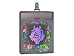 Sticker Slab | G2 esports (Holo) | Budapest 2025