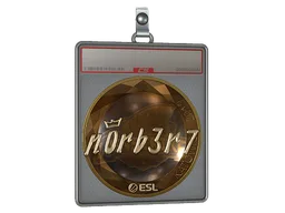 Sticker Slab | n0rb3r7 (Gold) | Katowice 2019