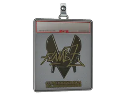 Sticker Slab | FlameZ (Gold) | Copenhagen 2024