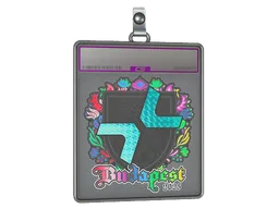 Sticker Slab | PARIVISION (Holo) | Budapest 2025