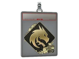 Sticker Slab | Team Spirit (Gold) | Rio 2022