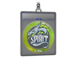 Sticker Slab | Team Spirit | Katowice 2019