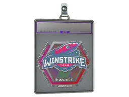 Sticker Slab | Winstrike Team (Holo) | London 2018