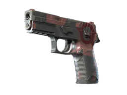 P250 | Constructivist