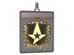 Sticker Slab | Astralis (Gold) | Budapest 2025