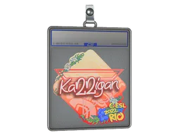 Sticker Slab | karrigan | Rio 2022