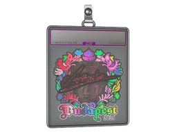 Sticker Slab | Attacker (Holo) | Budapest 2025