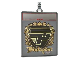 Sticker Slab | paiN Gaming (Gold) | Budapest 2025