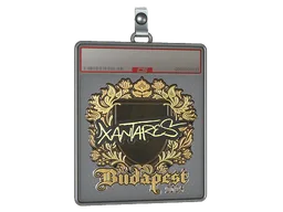 Sticker Slab | XANTARES (Gold) | Budapest 2025