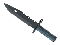 ★ M9 Bayonet | Night