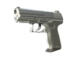 P2000 | Silver