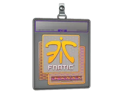 Sticker Slab | Fnatic (Holo) | DreamHack 2014