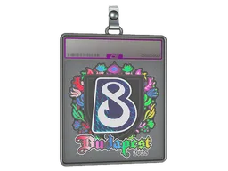 Sticker Slab | B8 (Holo) | Budapest 2025
