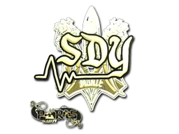 Sticker Slab | sdy (Gold) | Paris 2023