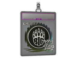Sticker Slab | BIG (Foil) | 2020 RMR
