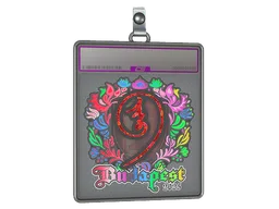 Sticker Slab | nin9 (Holo) | Budapest 2025