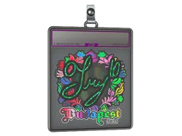 Sticker Slab | TRY (Holo) | Budapest 2025