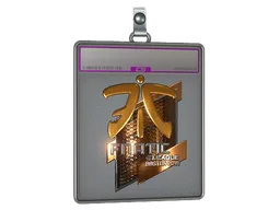 Sticker Slab | Fnatic (Foil) | Boston 2018