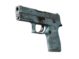 P250 | Forest Night