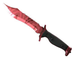 ★ Bowie Knife | Slaughter