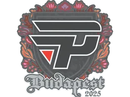 Sticker | paiN Gaming | Budapest 2025