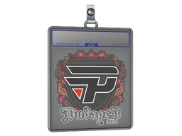 Sticker Slab | paiN Gaming | Budapest 2025