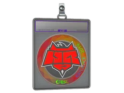 Sticker Slab | HellRaisers (Holo) | Katowice 2019