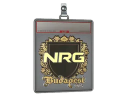 Sticker Slab | NRG (Gold) | Budapest 2025