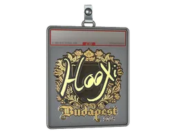 Sticker Slab | HooXi (Gold) | Budapest 2025