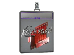 Sticker Slab | karrigan (Foil) | Boston 2018